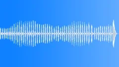 Speckled pigeon calling Sound Effect