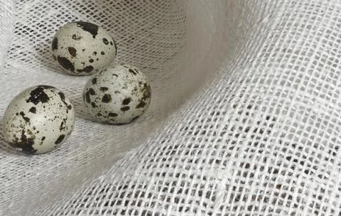 Speckled quail eggs Stockfoto's