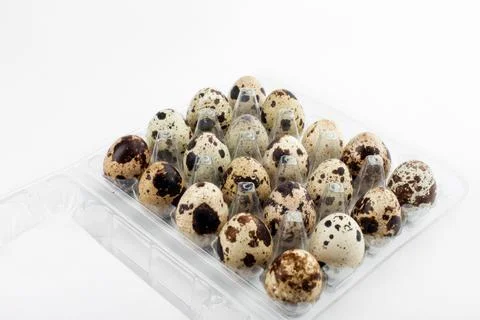 Speckled Quail Eggs in Plastic Package Container on White Background Stock Photos