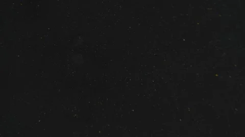 Specks Of Gold Vídeos de archivo 169173908