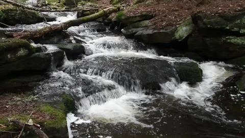 Spectacle Brook in slow motion, Pharaoh Lake Wilderness Area, Adirondack Fo.. Stock Footage 268026735