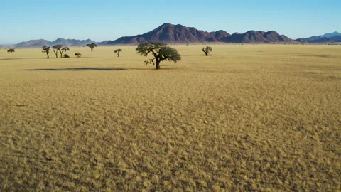 Spectacular aerial fly over view of the scenic African grasslands Stock Footage 155384184