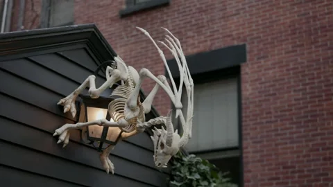 A Spectacular and Unique Skeletal Creature Modeled and Decorated on Home 库存影片 314251099