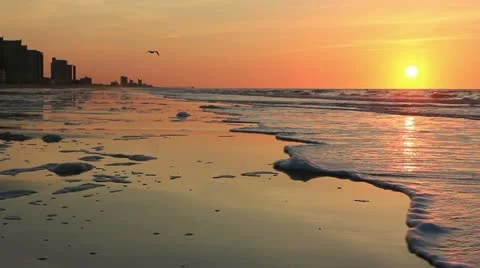 Spectacular Beach sunrise Stock Footage 11145840