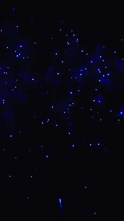 Spectacular blue fireworks exploding in night sky Vídeos de archivo 343160131