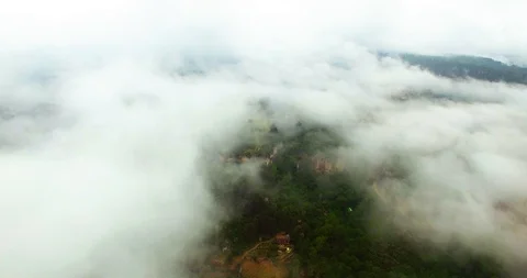 Spectacular Cloudy Forest Aerial View Stock Footage 117452117