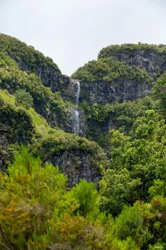 Spectacular double waterfall falling through jungle forest. Stock Photos