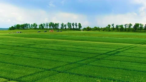 Spectacular drone flight over the field Stock Footage 155592389