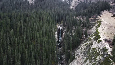 Spectacular drone shot of Barskoon waterfall cascading deep inside a lush green Video stock 336013098
