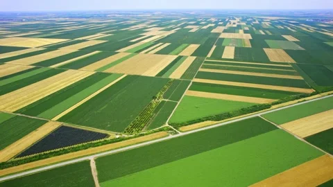 Spectacular Drone Views of Colorful Fields and Clear Skies Stock Footage 276374082