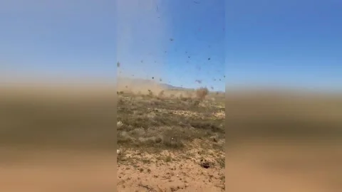 Spectacular Dust Devil Swirls Along Route 66 in Kingman, AZ, USA Video stock 276728452