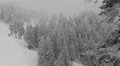 Spectacular Establishing Shot People Walking Frozen Forest Winter Snowy Mountain HD Footage
