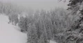 Spectacular Establishing Shot People Walking Frozen Forest Winter Snowy Mountain 4k or 4k+ Resolution