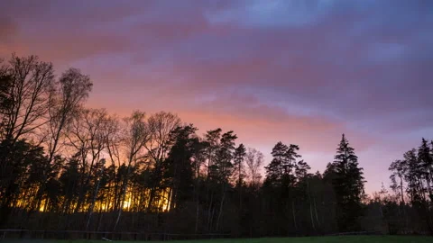 Spectacular evening sky over forest and meadow. 4k timelapse. Stock Footage 153686284
