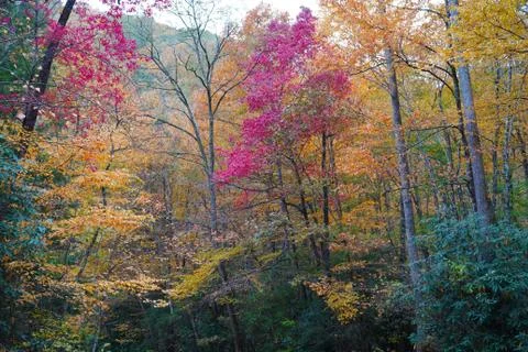 Spectacular Fall Colors Foto stock