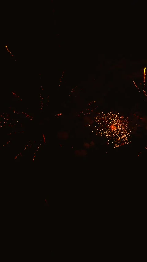 Spectacular firework display exploding in night sky 스톡 동영상 343160208