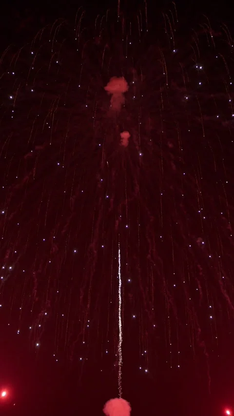 Spectacular fireworks explode in night sky celebrating holiday with vibrant.. 動画素材 339641709