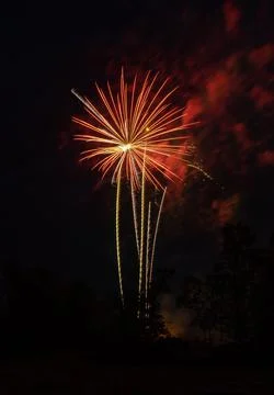 Spectacular fireworks exploding in the night sky. Stock Photos