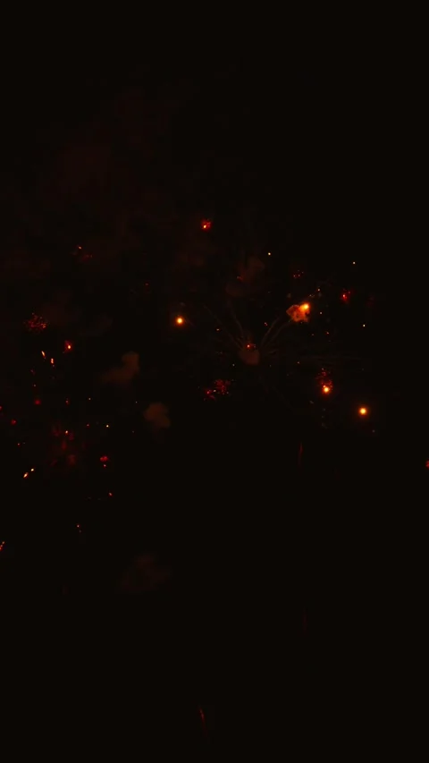 Spectacular golden fireworks exploding in night sky 스톡 동영상 343160216