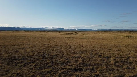 The spectacular landscape, lava fields covered in green moss and in Iceland Stock Footage 116072867