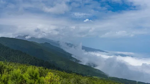 Spectacular loopable rainforest time lapse with text space Stock Footage 226739141