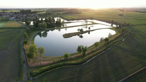 Spectacular medieval temple ruin surrounded by the paddy fields and ponds Stock Footage 247407064