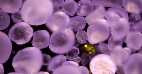 Spectacular microscopic view of purple methyl violet crystals with gold Stock Footage 303633775