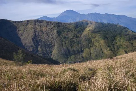 Spectacular mountain view featuring Mount Semeru rising grandly. Stock Photos
