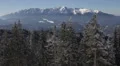 Spectacular Nature Snow Capped Alpine Mountain Peak Fir Tree Forest Winter Time HD Footage