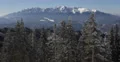 Spectacular Nature Snow Capped Alpine Mountain Peak Fir Tree Forest Winter Time 4k or 4k+ Resolution