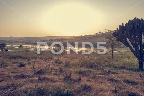 Spectacular savannah landscape of sun raising above marshes. Stock Photos