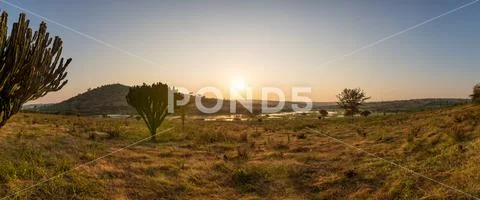 Spectacular savannah landscape of sun raising above marshes. Stock Photos