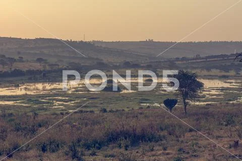 Spectacular savannah landscape of sun raising above marshes. Stock Photos