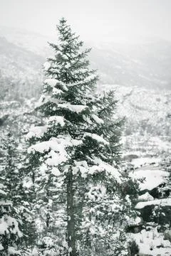 Spectacular scenery in the high mountains of western Sichuan, China, with d.. Stock Photos