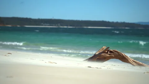 Spectacular shot of a tree trunk on a lonely and paradisiacal beach in slowmotio Stock-Footage 294623131