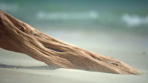 Spectacular shot of a tree trunk on a lonely and paradisiacal beach in slowmotio Stock Footage 294623427