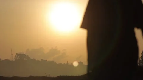 Spectacular silhouette view at sunset Stock Footage 148748175