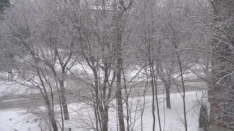 Spectacular Snow Fall Background in Slow Motion Stock Footage 76286905