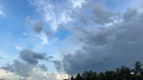 Spectacular thunderclouds over pine forest at sunset, gloomy blue sky Stock Footage 336407746