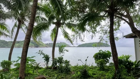 Spectacular view between palm trees Stock Footage 220658658