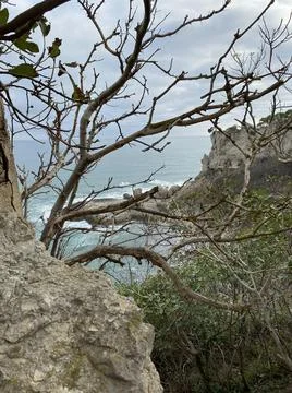 Spectacular view on Black Sea and cliffs through the tree branches. Stock Photos