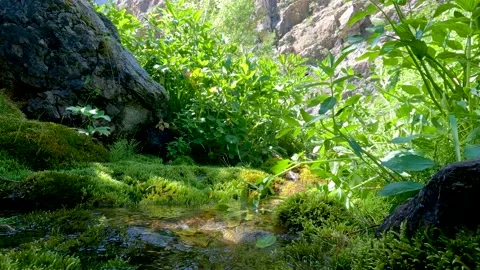 Spectacular view from the bottom of the mountain Stock Footage 198147576