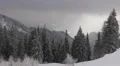 Spectacular View Mountain Landscape Frozen Forest Snowy Fir Trees Snow Capped HD Footage