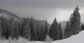 Spectacular View Mountain Landscape Frozen Forest Snowy Fir Trees Snow Capped 4k or 4k+ Resolution