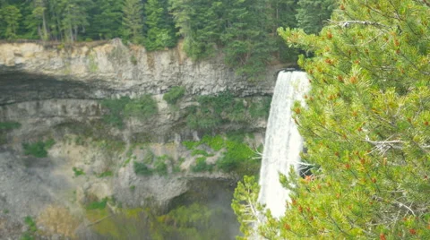 Spectacular waterfall background with spruce tree in foreground Stock Footage 63623904