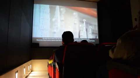 Spectators at the cinema. Stock Footage 101420139