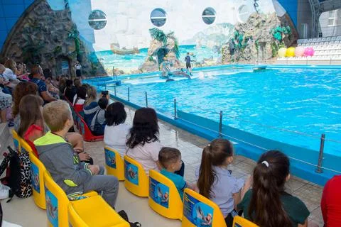 Spectators in the dolphinarium. Foto stock