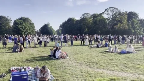 Spectators gather at Phoenix Park in Dublin to witness the eclipse Stock Footage 342074076