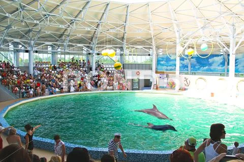 Spectators on representation in the dolphinarium eupatorium. ukraine Stock Photos