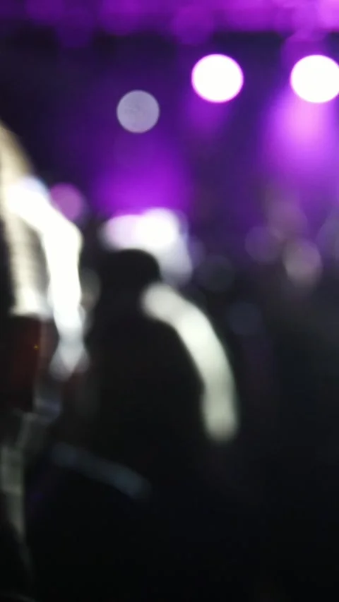 Spectators at the rock concert Stock Footage 335628230